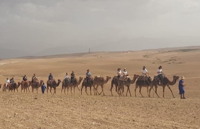Camel Trekking